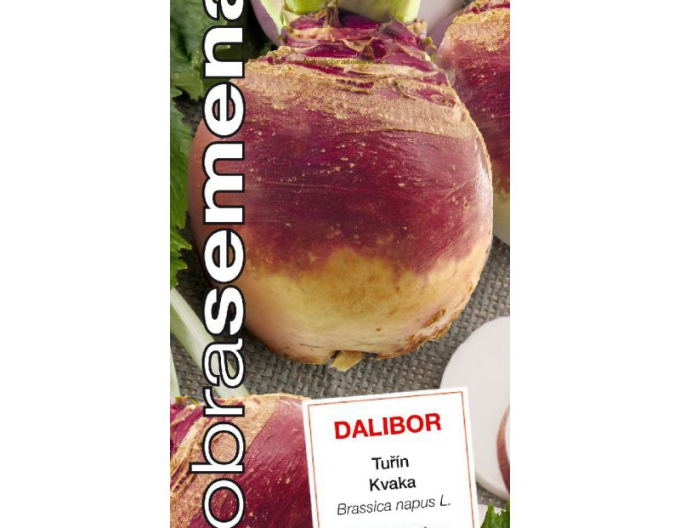 Gute Samen Kvaka Dalibor