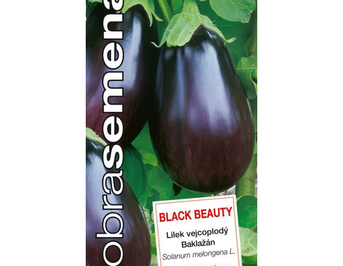 Dobrá semená  Aubergine Black Beauty