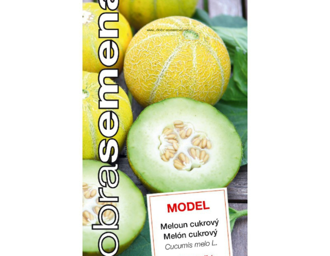 Gute Samen Zuckermelone Model