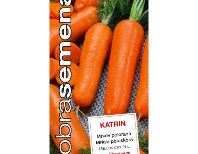 Dobrá semená Karotte Katrin