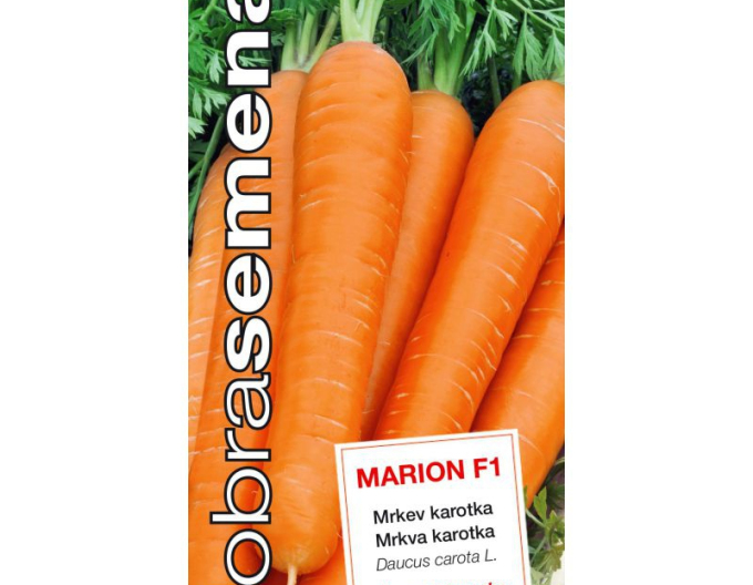 Dobrá semená Karotte Marion F1
