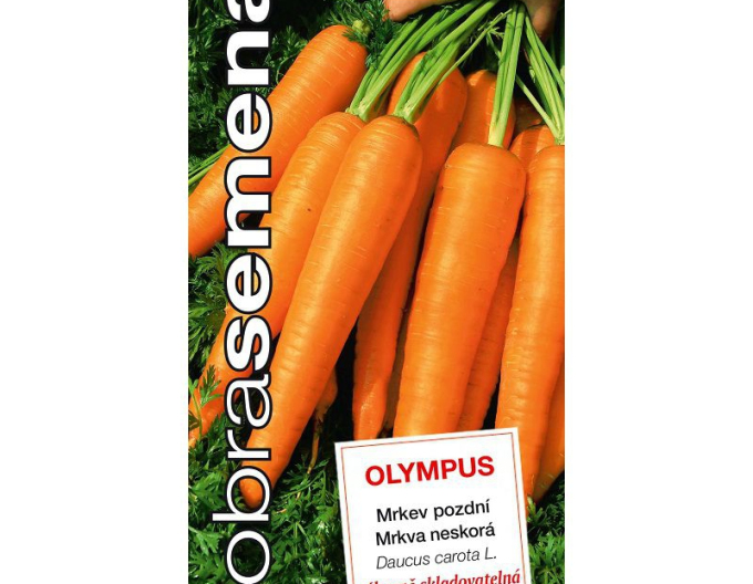 Dobrá semená Karotte Olympus