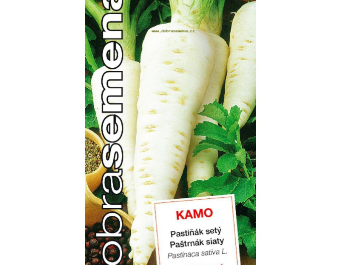 Gute Samen Pastrnák Kamo