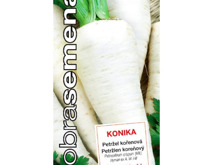 Good Seeds Gartenpetersilie - Wurzelpetersilie Konika