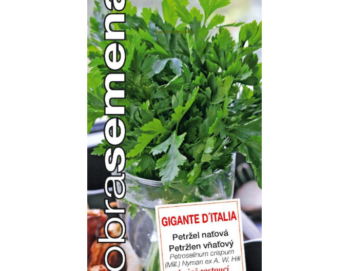 Dobrá semená Petersilie Gigante D´Italia