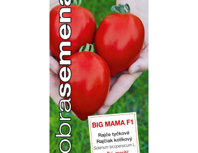 Dobrá semená Stabtomate Big Mama