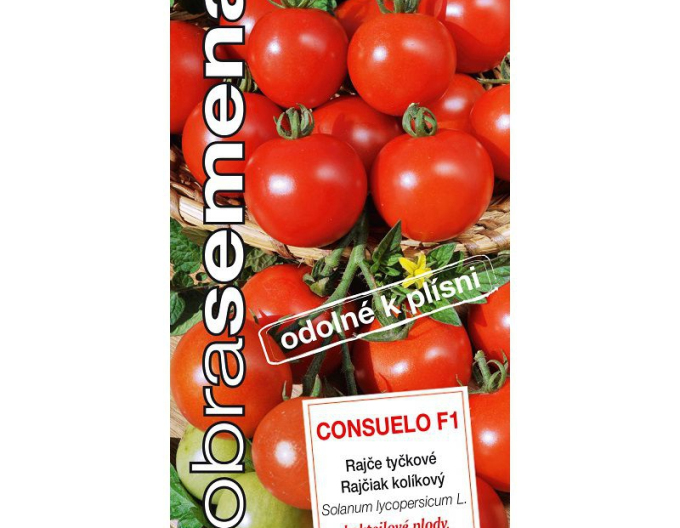 Gutes Saatgut Tomate Consuelo F1