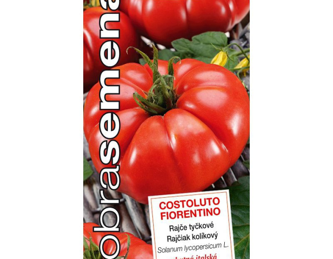 Dobrá semená Stabtomate Costoluto Fiorentino