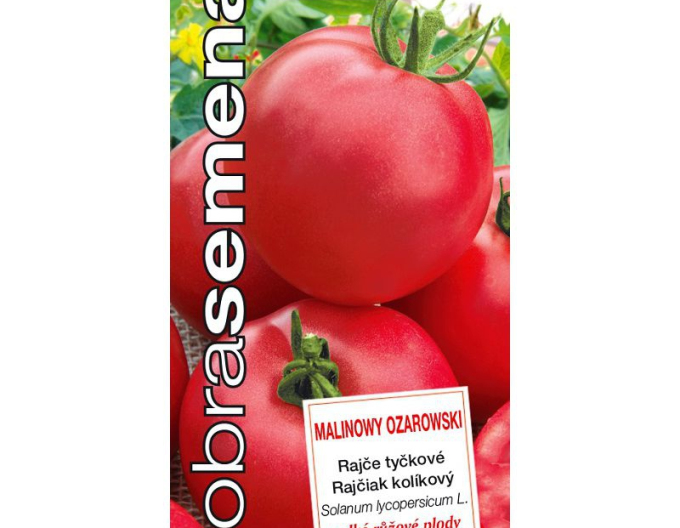 Gutes Saatgut Tomate Malinowy Ozarowski