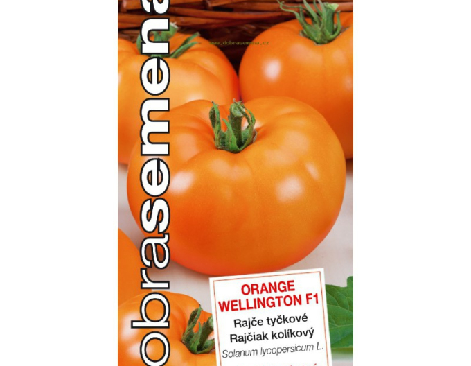 Dobrá semená Stabtomate Orange Wellington F1