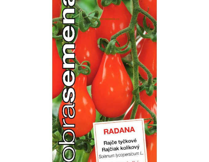 Dobrá semená Stabtomate Radana