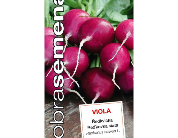 Dobrá semená Lila Rettich Viola