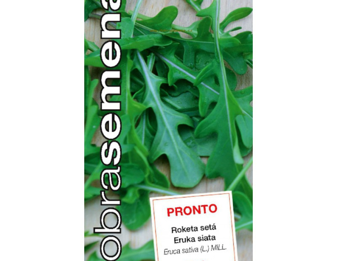 Dobrá semená Rucola Pronto