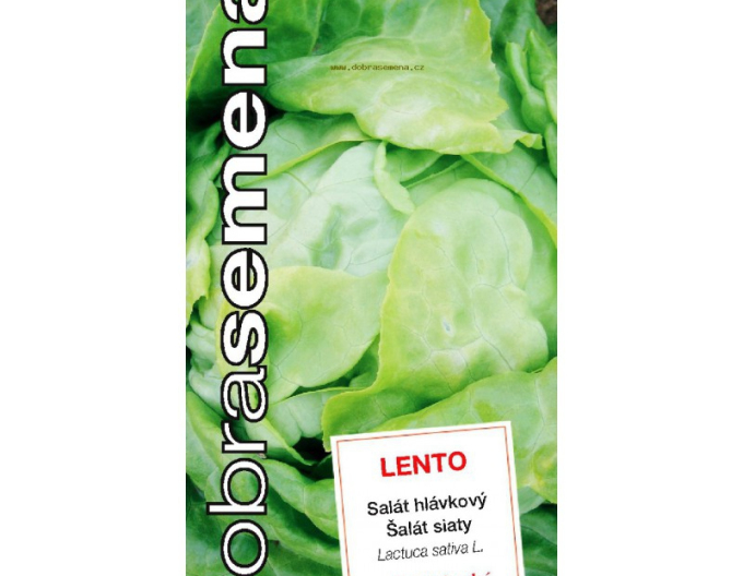 Dobrá semená Kopfsalat Lento
