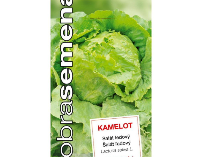 Dobrá semená Kopfsalat Camelot