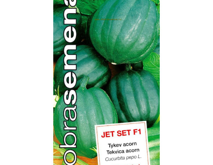 Gute Samen Kürbis Jet Set f1