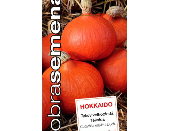 Dobrá semená Riesenkürbis Hokkaido