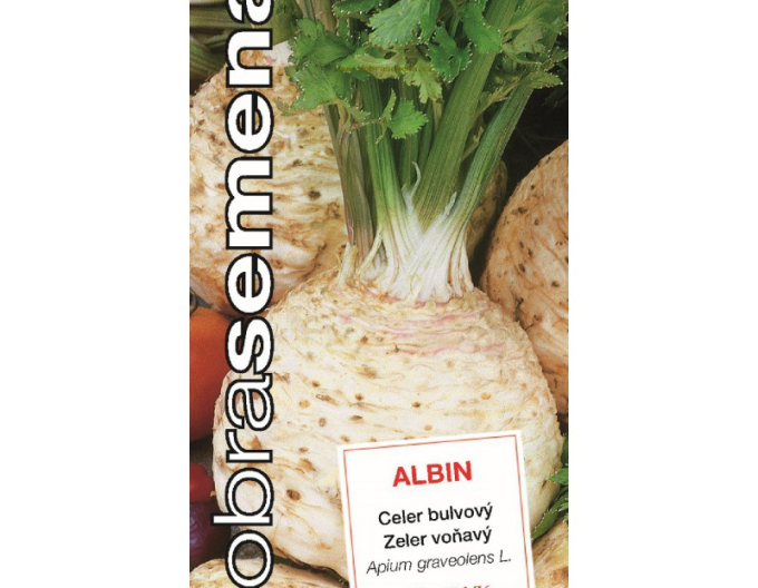 Dobrá semená Knollensellerie  Albin