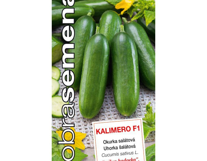 Dobrá semená Salatgurke Kalimero F1