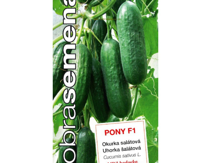 Dobrá semená Salatgurke Pony F1