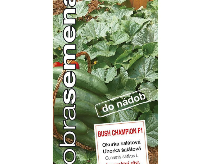 Dobrá semená Salatgurke Bush Champion F1