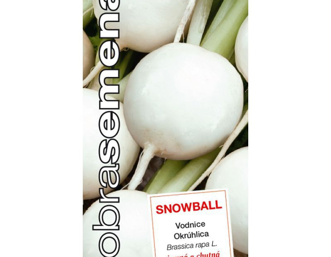 Semo Weißrübe Snowball