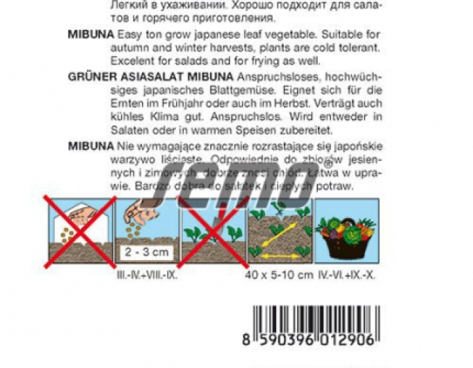 Saatgut-Salat Mibuna