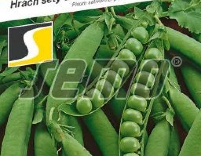 Semo Erbse Radovan 50g