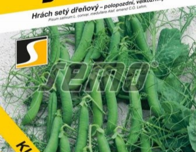 Saatgut Erbse Curly