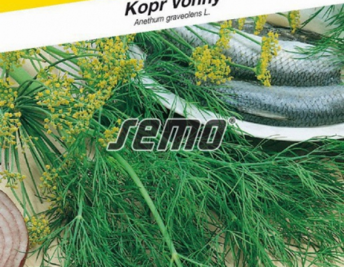 Semo Dill Hanák