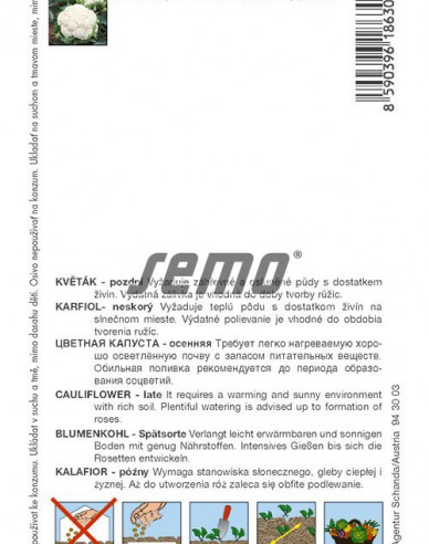 Semo Blumenkohl Snow Lady