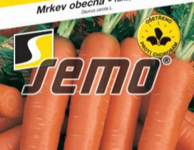 Semo Karotte Vanda
