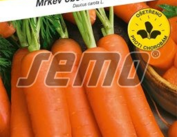 Semo Karotte Beauty