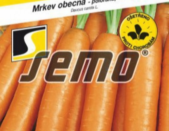 Semo Karotte Carotina