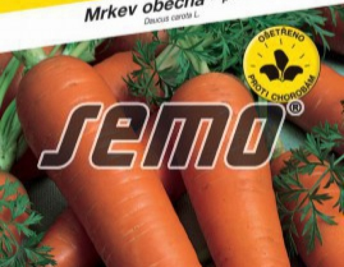 Semo Karotte Ruby