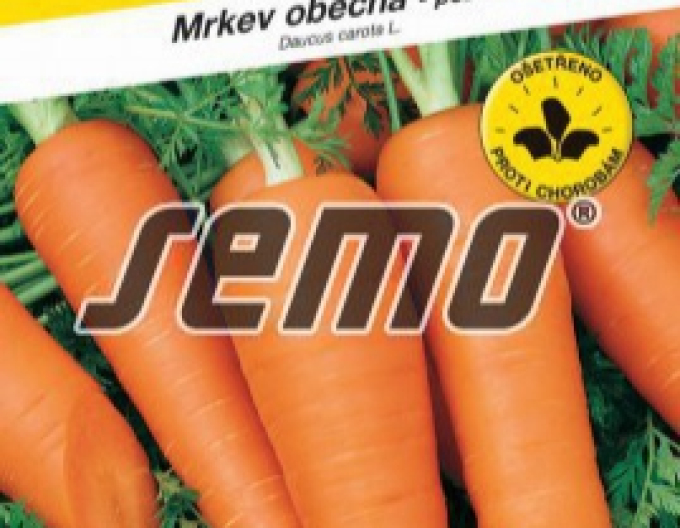 Semo Karotte Carol