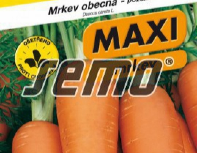 Semo Karotte Coloseum F1