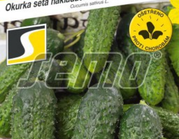 Semo Einlegegurke Anya F1