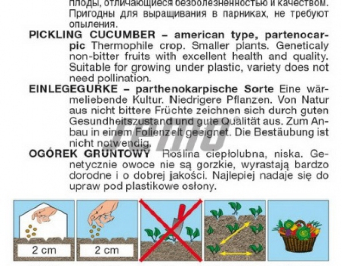 Semo Einlegegurke Najada F1