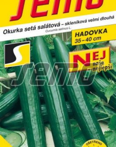 Semo Salatgurke Vista F1