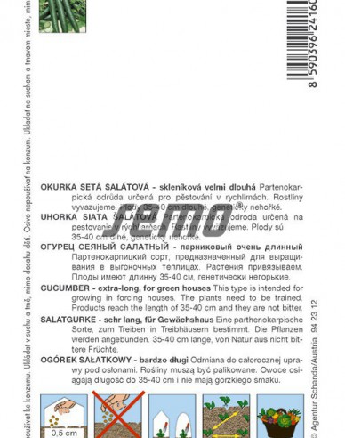 Semo Salatgurke Vista F1