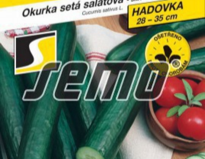 Semo Salatgurke Tribute F1