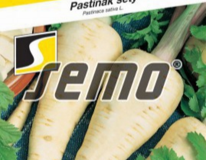 Semo  Pastinake Weiß
