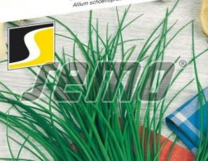 Semo Schnittlauch ´Fein´