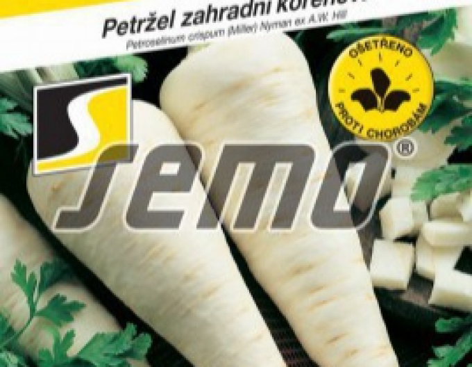 Semo Wurzelpetersilie Hanacka