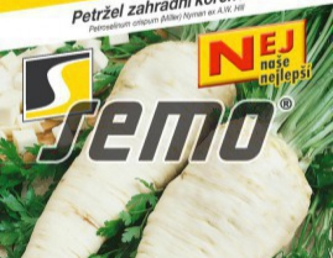 Semo Wurzelpetersilie Orbis