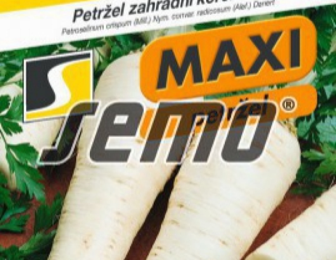 Saatgut Petersilie Garten - Wurzel Atika