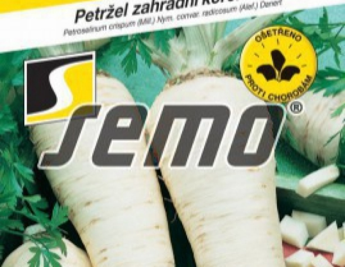 Semo Wurzelpetersilie Jadran