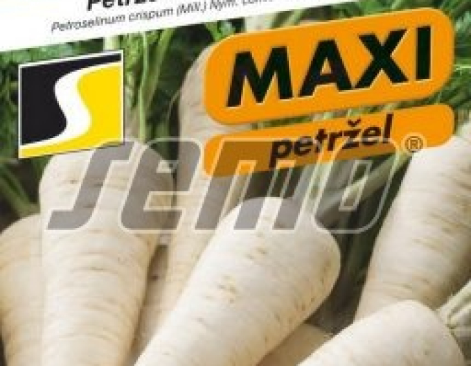 Semo Wurzelpetersilie Troja