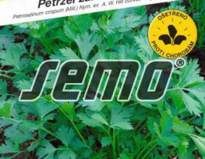 Semo Petersilie Gigante di Napoli